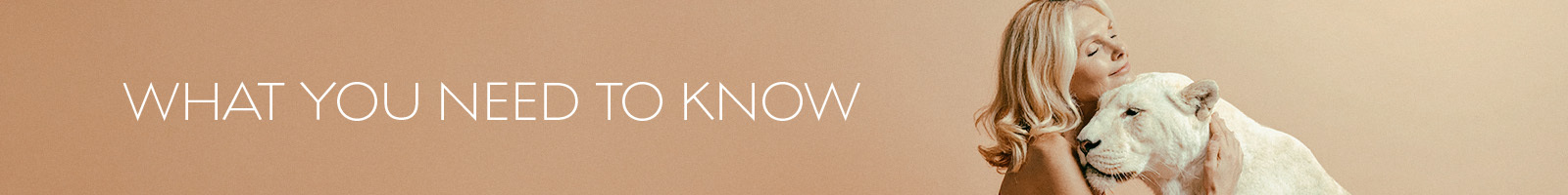 Banner aistente virtual Banner aistente virtual